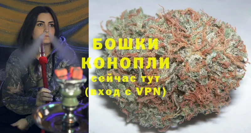 Бошки Шишки White Widow  Кущёвская 